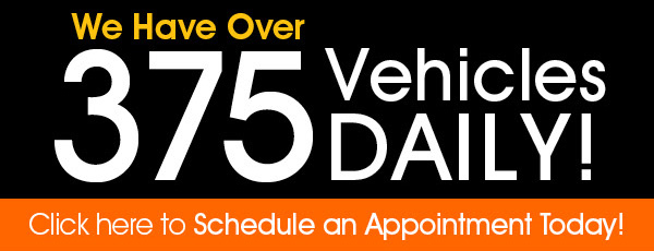 Schedule an Appointment Today!